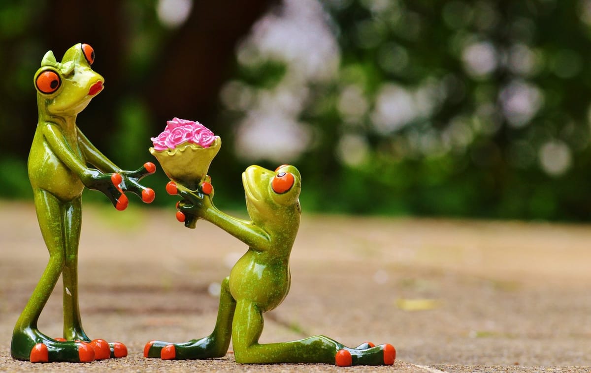 no fairy tale marriages