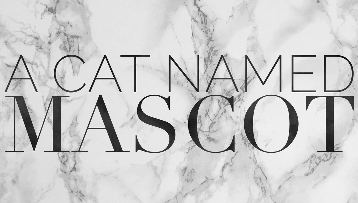 a cat named mascot