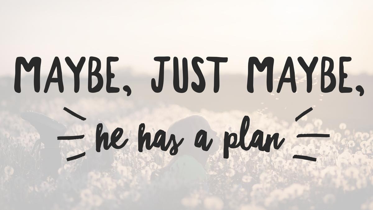 he has a plan