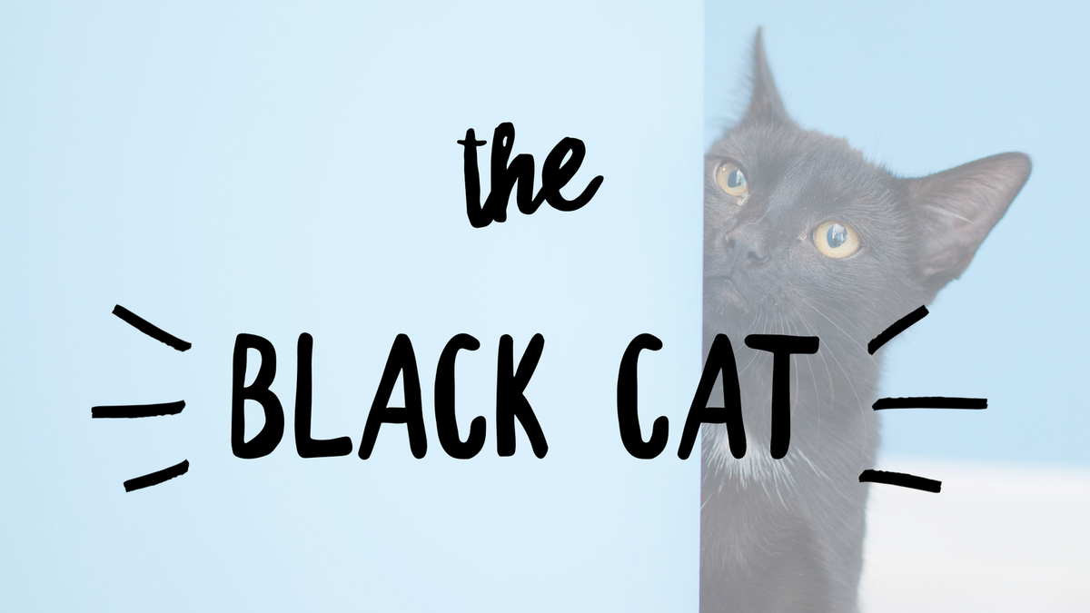 the black cat