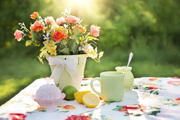 Negativity Detox