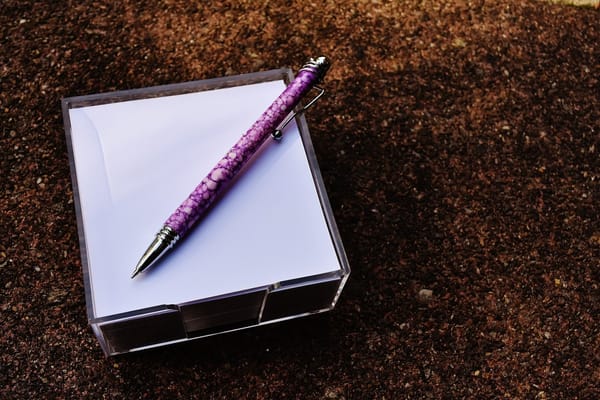 Writing Tips from Author Frances Gregory Pasch