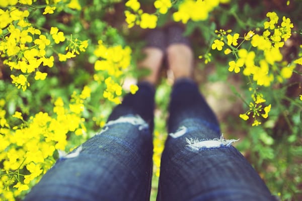 spring to do