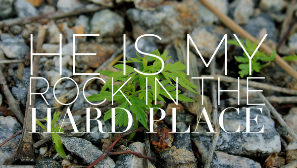 he is my rock in the hard place