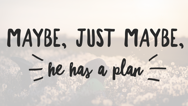 he has a plan