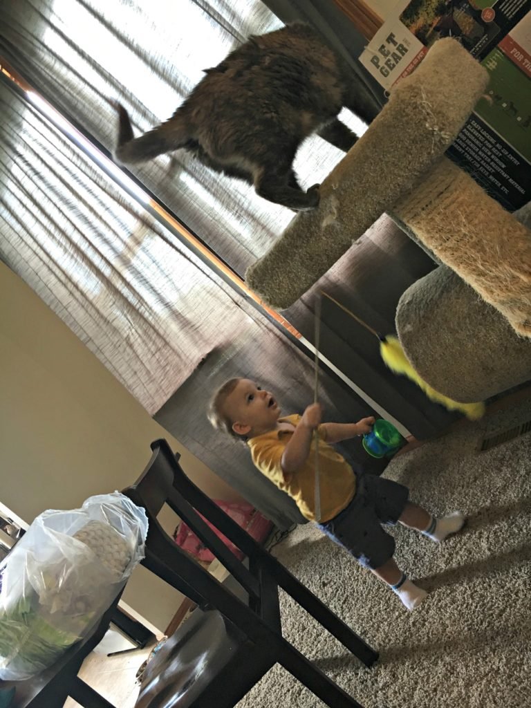 home-playing